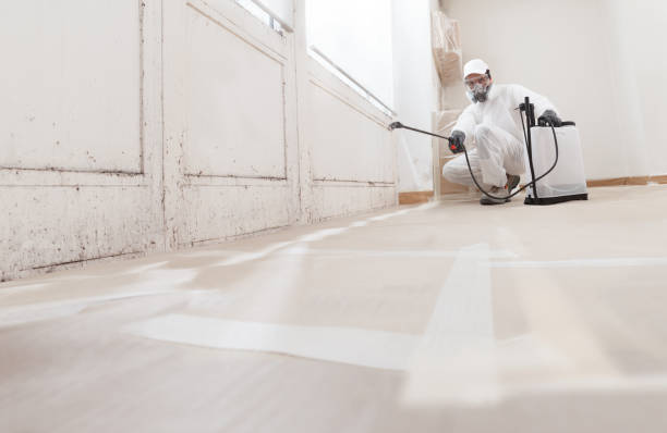 24/7 Emergency Basement Mold Removal experts in Missouri City, TX